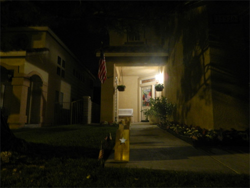 GSMD 2011