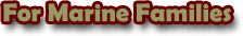 Units and Battalions Online Store