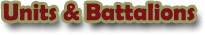 Units and Battalions Online Store