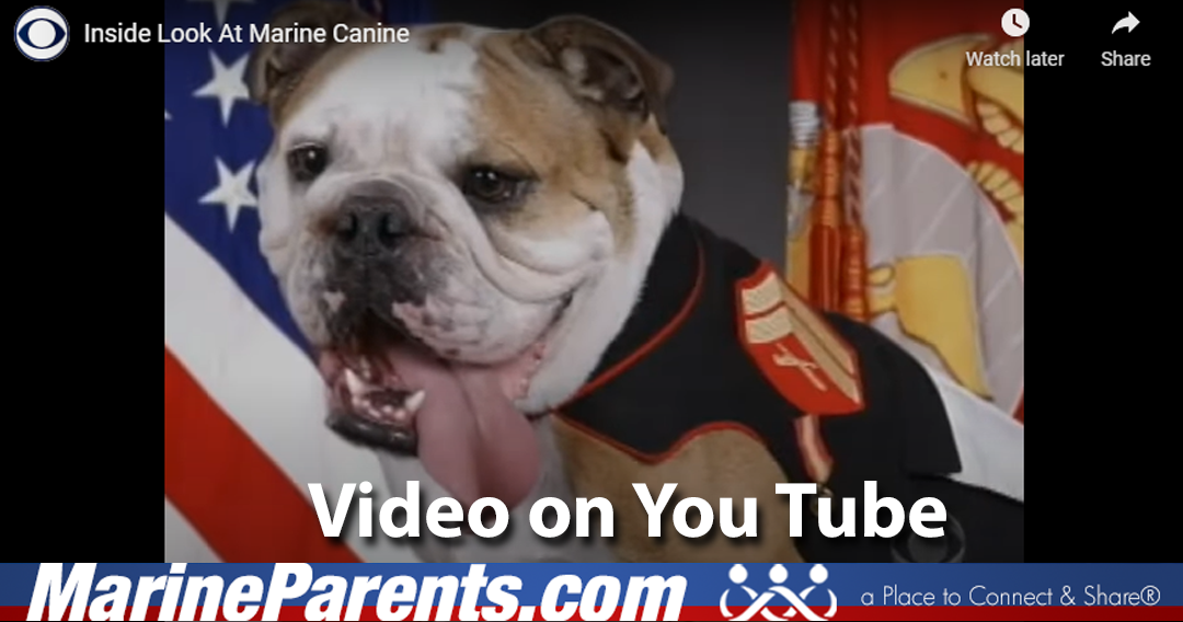 Marine Corps Video