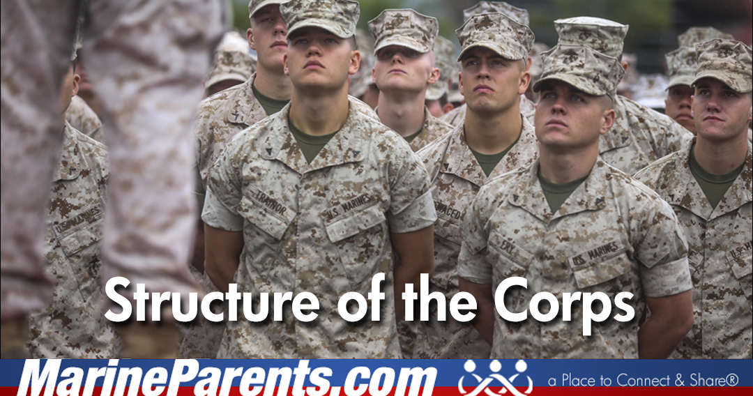 Structure of the Marine Corps