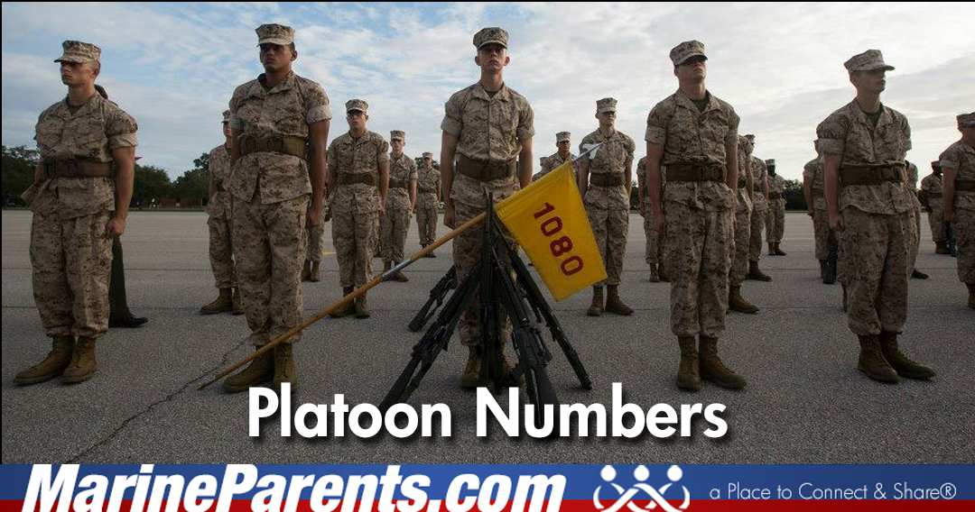 When Will I Know My Recruit's Platoon Number?